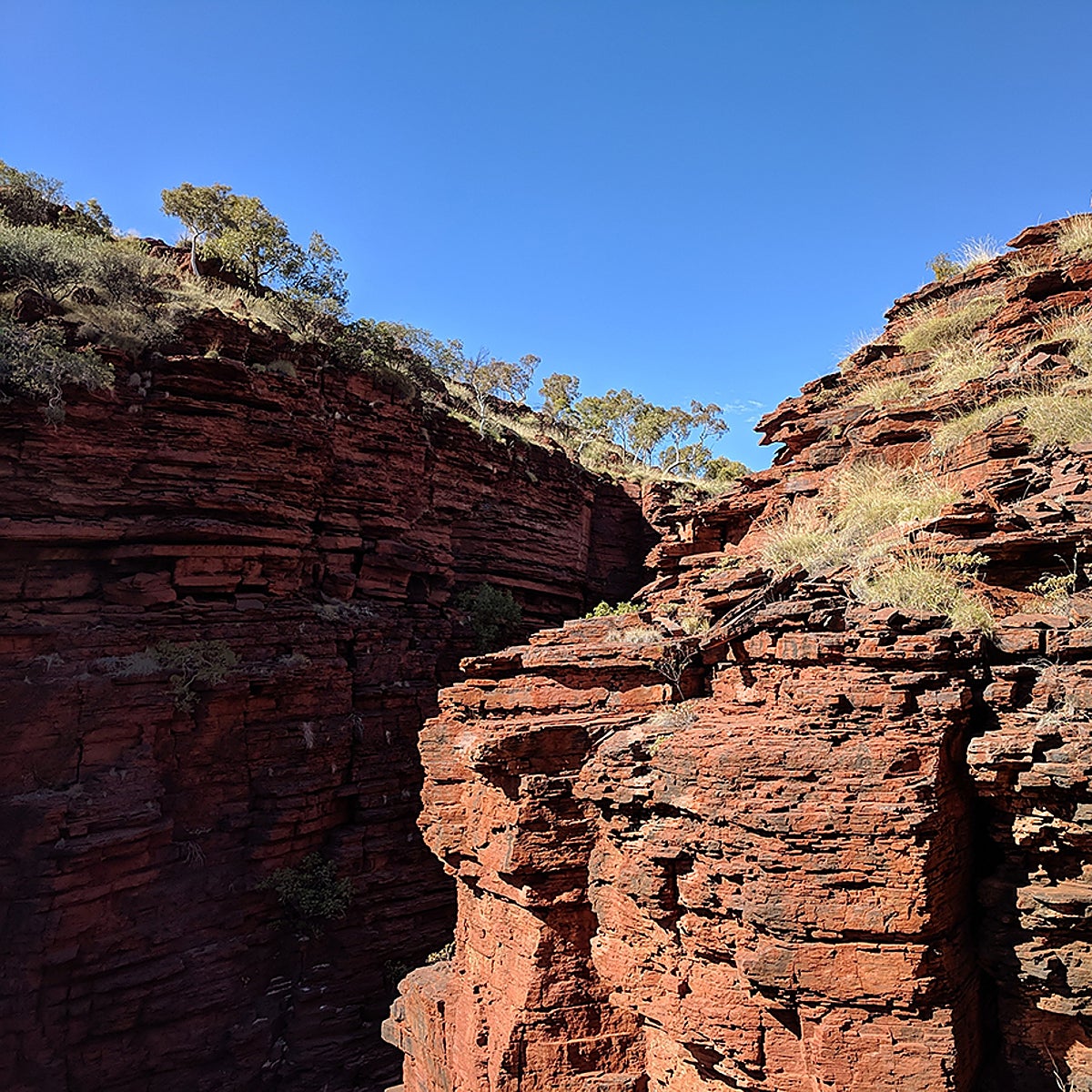 Cuando los días duraban 17 horas y la Luna estaba 60.000 kilómetros más cerca