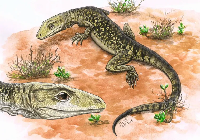Un lagarto descubierto en un armario adelanta el origen de estos animales 35 millones de años