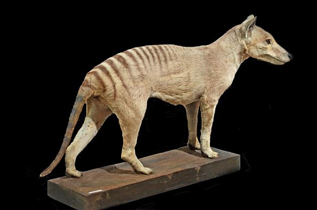 Visita a puerta cerrada la ruta singular: &#039;Entre la ciencia y la leyenda&#039;