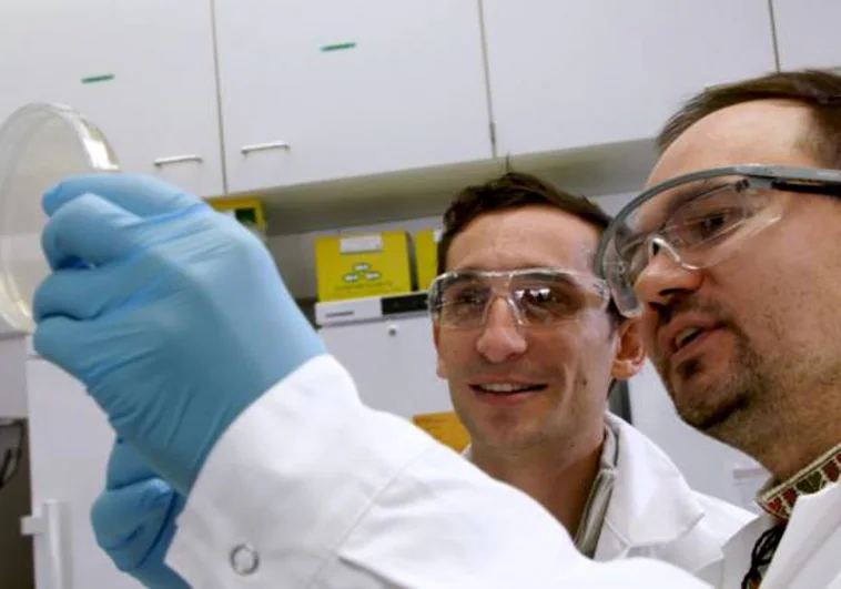 Descubren una nuevo tipo de 'tijera genética' que 'encierra' a los virus en las células infectadas