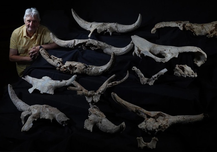 Una 'sala de trofeos' hallada en una cueva de Madrid demuestra la capacidad simbólica de los neandertales