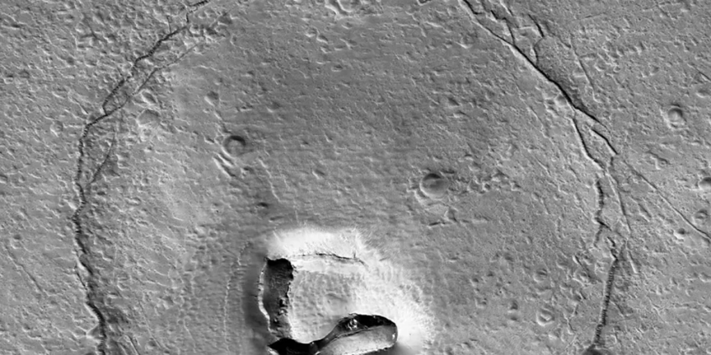 They capture the face of a bear on the surface of Mars
