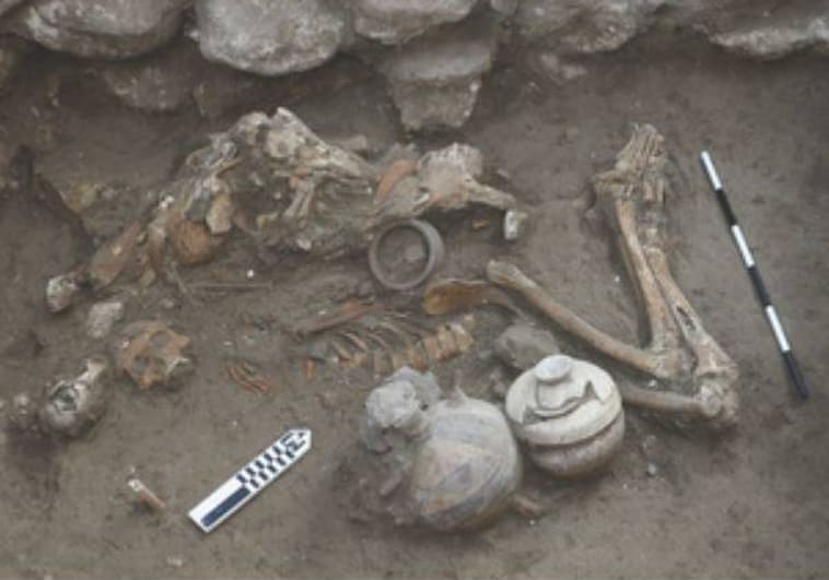Una antigua tumba de dos hermanos revela que ya se realizaban cirugías craneales hace 3.500 años