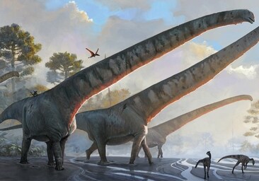 Un nuevo dinosaurio hallado en China, el animal con el cuello más largo que  haya pisado