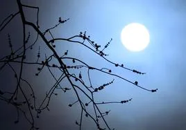 Calendario astronómico de esta primavera: dos lluvias de estrellas, dos eclipses y tres lunas llenas