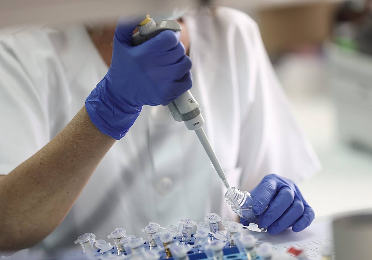 Una científica trabaja en el Instituto de Toxicología de la Defensa