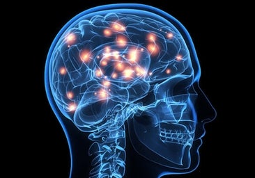 Así funciona nuestro cerebro cuando leemos