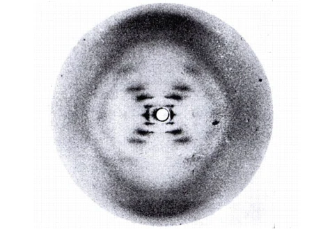 Imagen secundaria 1 - Francis Crick (derecha) junto a James D. Watson, codescubridores de la estructura y función del ADN (arriba), la famosa Fotografía 51 y un retrato de Rosalind Franklin