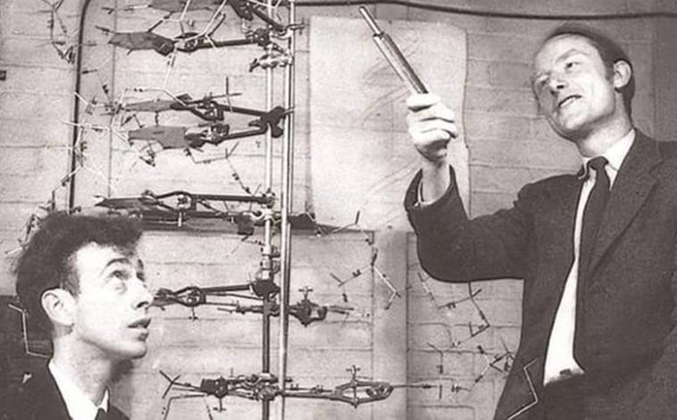 Imagen principal - Francis Crick (derecha) junto a James D. Watson, codescubridores de la estructura y función del ADN (arriba), la famosa Fotografía 51 y un retrato de Rosalind Franklin