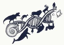 El ADN de 240 mamíferos muestra el camino para luchar contra el cáncer o entender la evolución