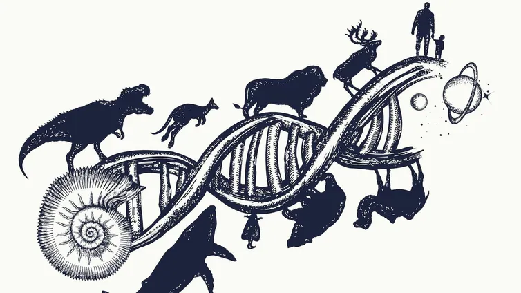 El ADN de 240 mamíferos muestra el camino para luchar contra el cáncer o entender la evolución