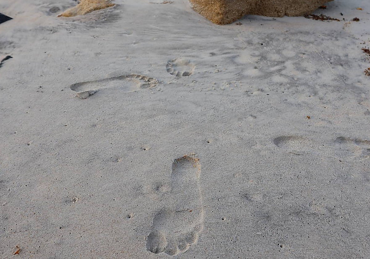 Los científicos recolectaron ADN de alta calidad de las huellas hechas por uno de los investigadores en una isla deshabitada, que de otro modo carecía de ADN humano. La secuenciación del ADN reveló información identificable sobre el genoma del participante