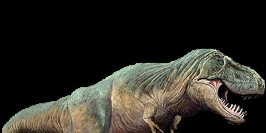 The Maximum Number Of T. Rex To Ever Walk The Earth Was 1.7 Billion