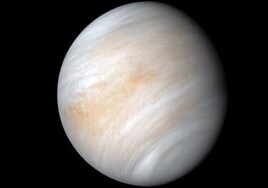 Los bloques básicos de la vida podrían sobrevivir en las tóxicas nubes de Venus