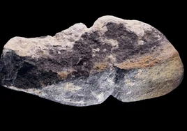 ¿Un colgante en forma de pene de 42.000 años de antigüedad?