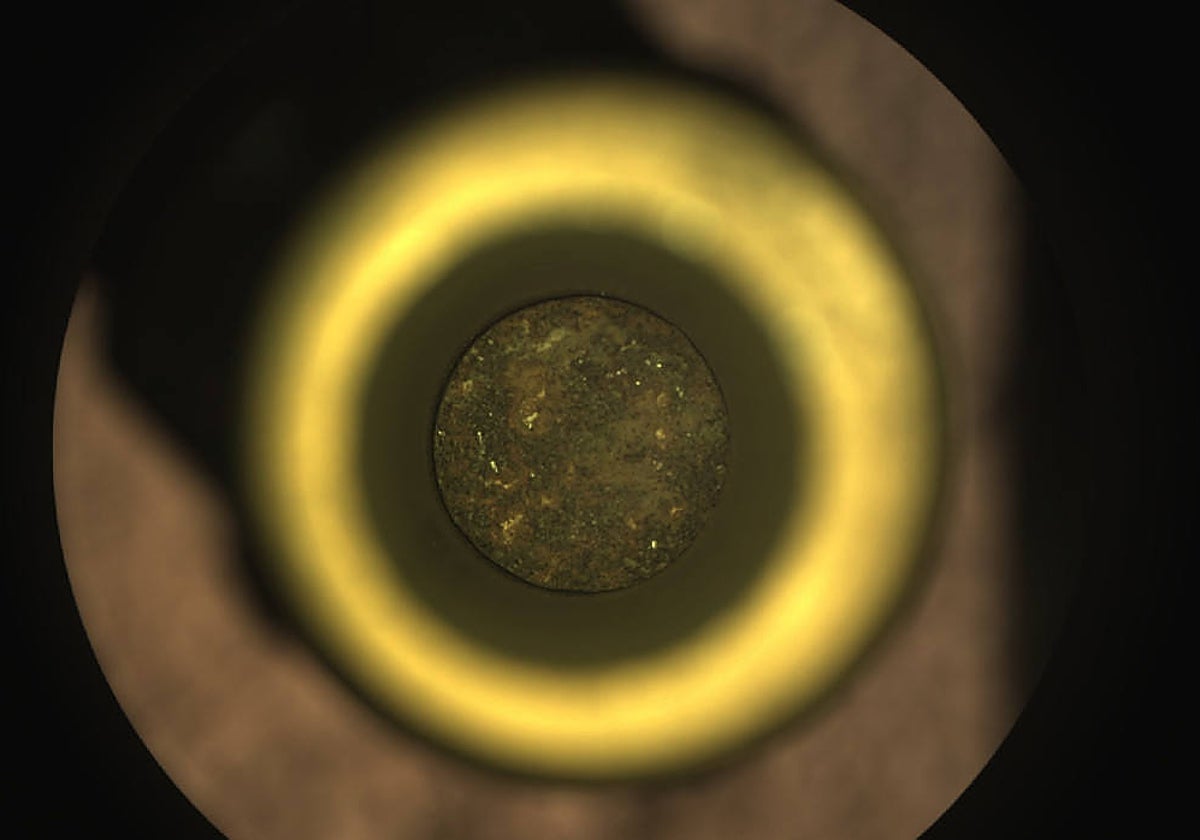 La primera muestra del Perseverance se ve dentro de su tubo contenedor de titanio