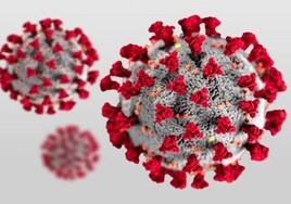 Científicos crean un 'origami de ADN' para controlar el ensamblaje de los virus