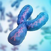 Secuencian, por fin, el cromosoma Y, el último que quedaba por descifrar en el ser humano