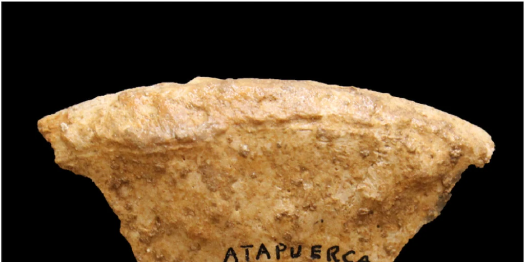 A 13-year-old girl buried in Atapuerca 7,000 years ago reveals a unique ...