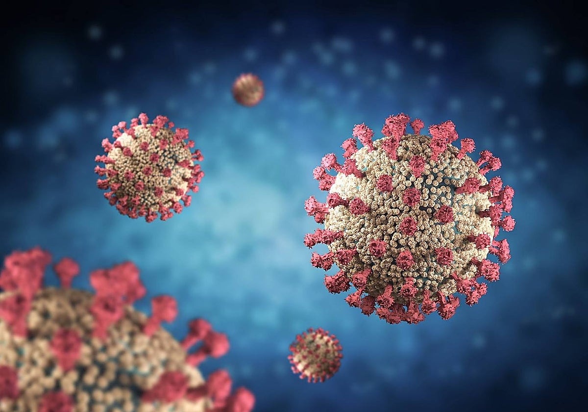 Los virus se encontraban a 8.900 metros de profundidad