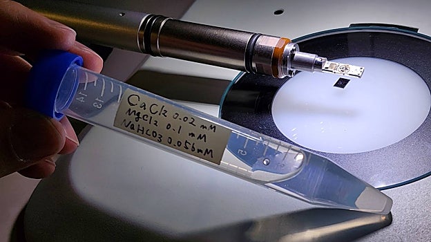 Este tubo de ensayo contiene una solución concentrada de iones de magnesio, calcio y carbonato, los componentes básicos de un cristal de dolomita. En el portamuestras del microscopio electrónico de transmisión situado detrás del tubo de ensayo sólo cabe una cantidad minúscula de esta solución: aproximadamente 2000 millonésimas de litro