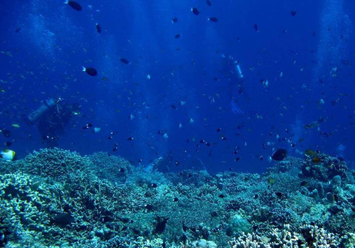 Aguas de Mar, ¿son todas iguales?