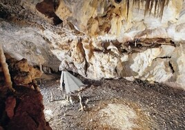 «Era un lugar lleno de vida y animación»: Una cabaña paleolítica intacta cerca de Santander muestra cómo vivían sus ocupantes hace 16.800 años