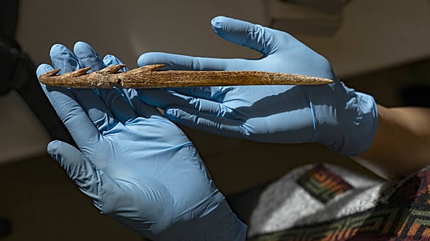 Un protoarpón de asta de ciervo aparecido dentro de la cabaña paleolítica