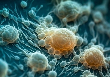 Crean 'cerebros' artificiales con células humanas que aprenden a reconocer voces
