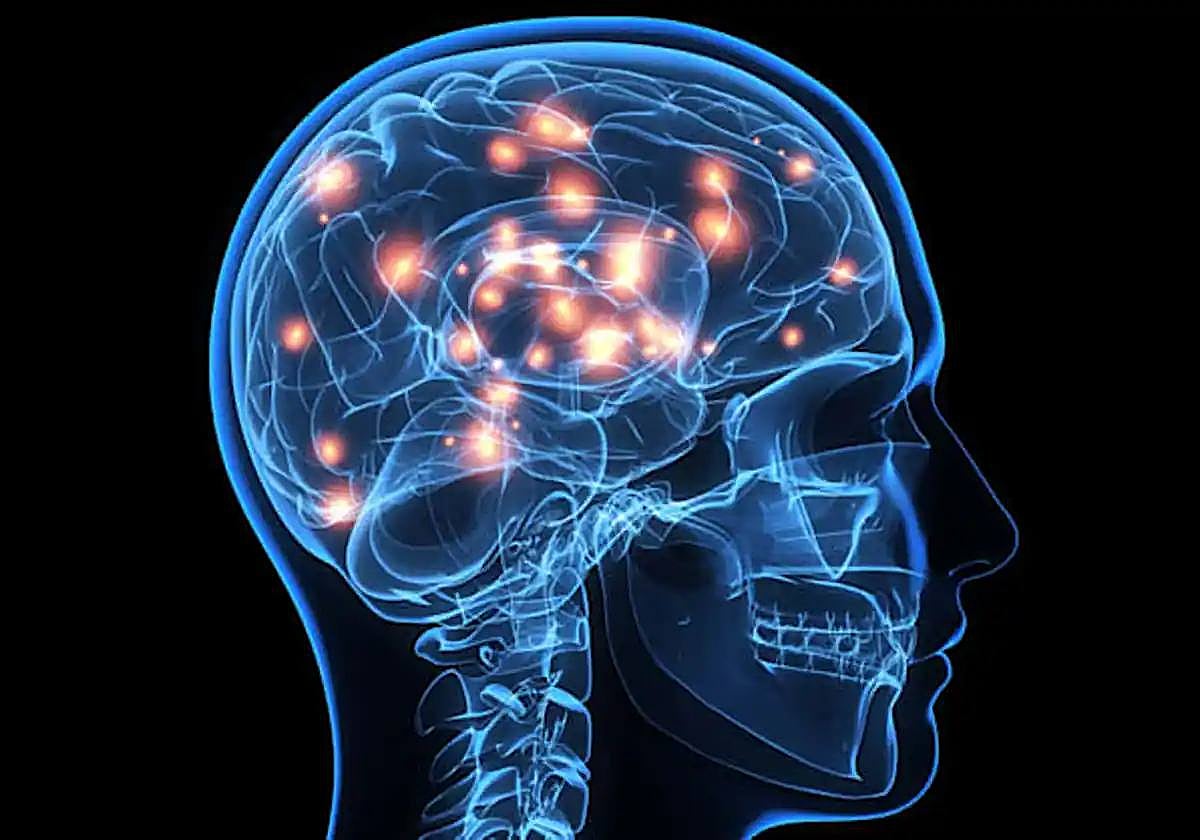 El cerebro tiene su propia 'wifi'