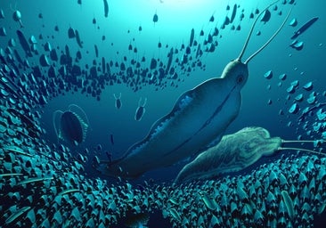 La 'Bestia del Terror': descubren un nuevo depredador prehistórico, el mayor del Cámbrico, desconocido hasta ahora