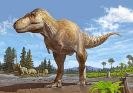 Descubren al pariente más cercano del Tiranosaurio rex y son clavados
