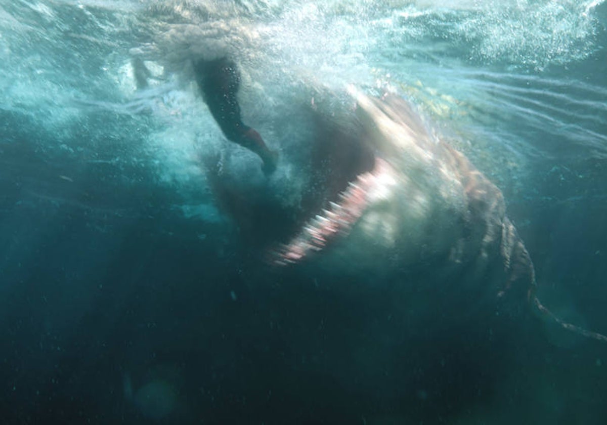 Un fotograma de la película 'The Meg' ('Megalodón', 2018)