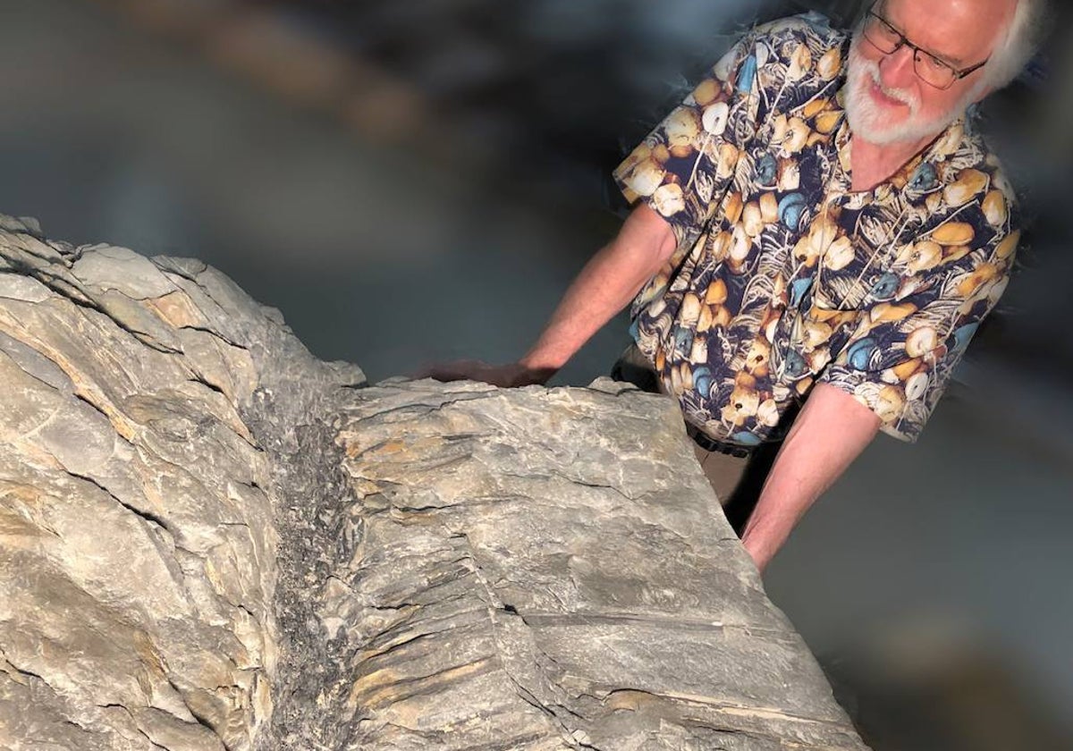 El investigador James Basinger aparece junto al extraordinario árbol fósil