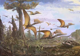 Descubren en Escocia un nuevo fósil que reescribe la historia de los 'lagartos alados'