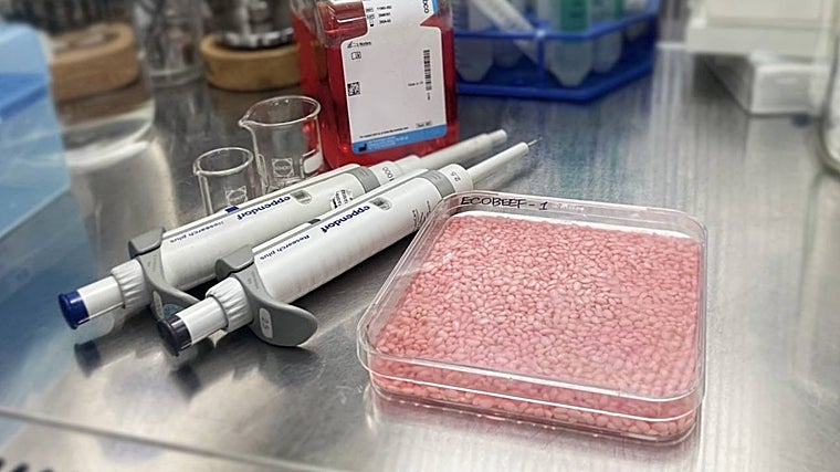 Los granos de arroz híbrido en el laboratorio