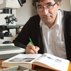 <div class="voc-author__name">Laurent Palka</div>