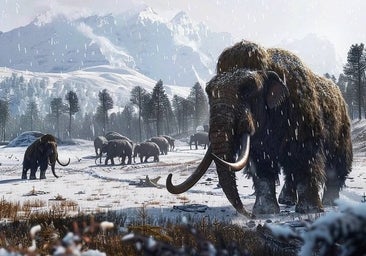 Una empresa quiere 'resucitar' mamuts en 2028