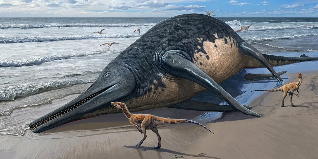 They find ichthyotitans, the largest marine reptiles ever found, two buses long