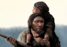 El sufrimiento de ser hijo de neandertales, marcado en centenares de dientes