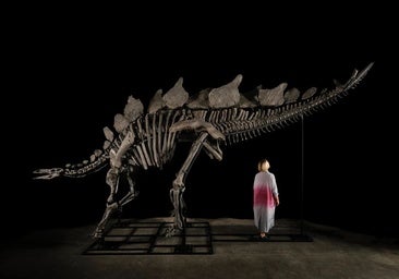 Apex, el estegosaurio más grande, se subastará por casi 6 millones de euros en Nueva York