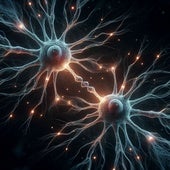 ¡Sorpresa! El cerebro puede almacenar diez veces más datos de lo que se creía