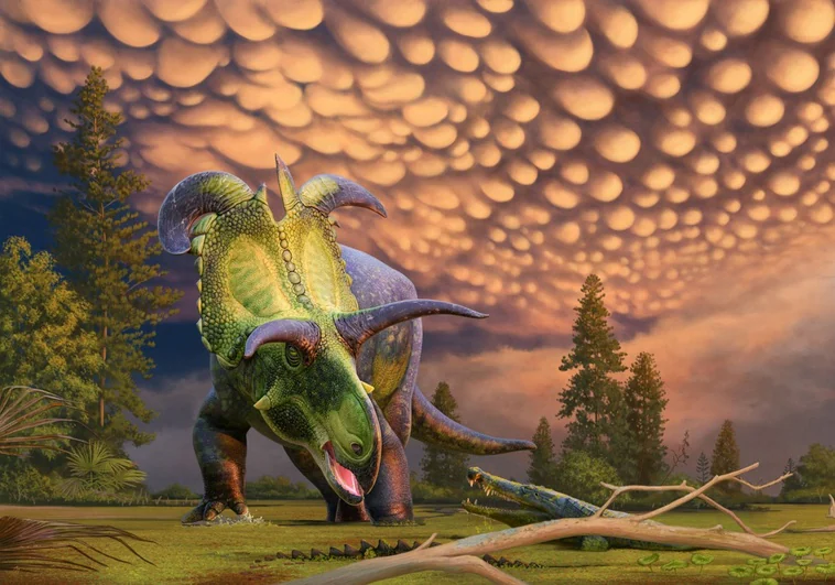 Descubierto 'Loki', el gran dinosaurio con cuernos como cuchillas>