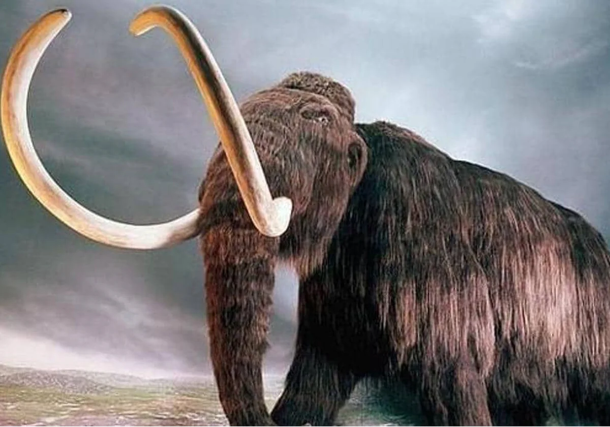 Recreación de un mamut lanudo