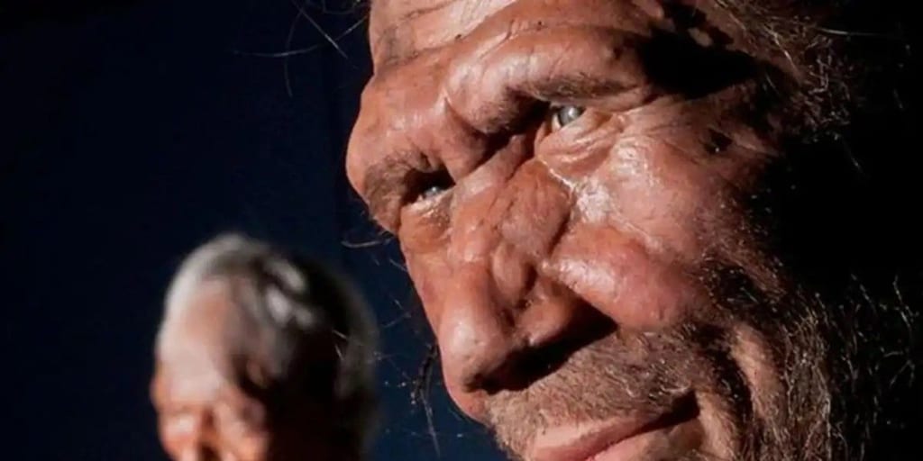 Neanderthals were ‘absorbed’ by our own species