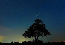 ¿Cuándo y dónde ver las Perseidas o lluvia de estrellas en España este 2024?