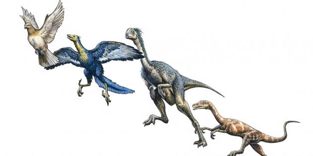 恐竜の絶滅は鳥類のゲノムに書き込まれていることを発見