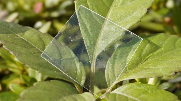 Una lámina del nuevo material que se disuelve en agua salada