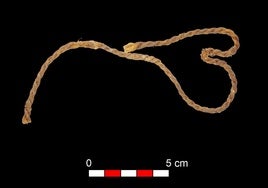 Los arqueros de Granada que tensaban sus armas con tendones hace 7.000 años