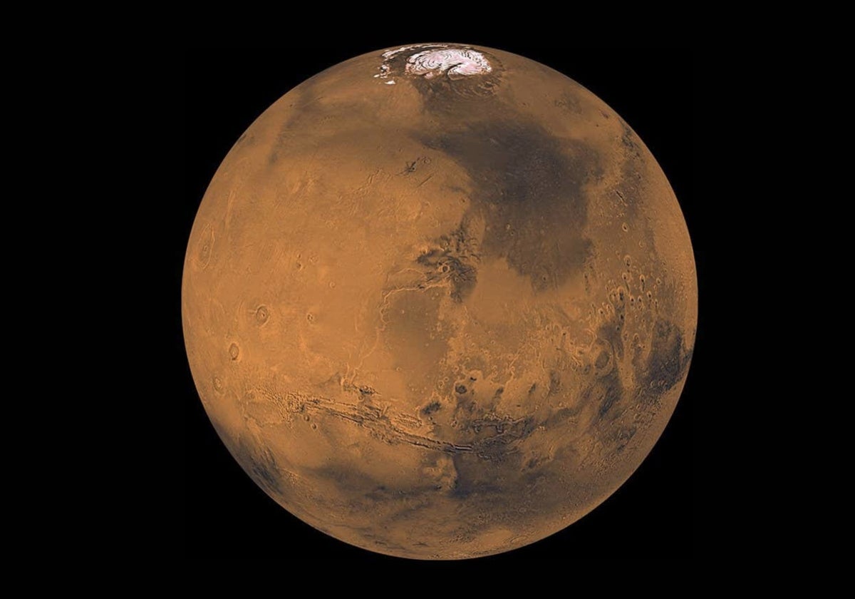 Acidalia Planitia, la región oscura que aparece a la derecha del hemisferio norte marciano, podría albergar bacterias vivas bajo la superficie